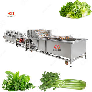 Machine de traitement de légumes entièrement automatique 500kg/heure Ligne de production de lavage de laitue Ligne de calibrage de lavage de légumes - Product Image 1