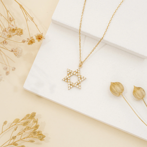 Recién llegados, collar de joyería fina, oro vermeil, Plata de Ley 925, pavé CZ, circón, estrella de <span class=keywords><strong>David</strong></span>, colgante, collar para mujer - Product Image 6