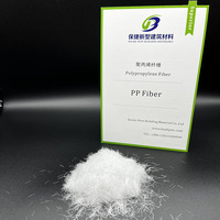 Factory Priced Polypropylene Fiber Additive for Efficient Concrete Strengthening Long-Term Stability Flexibility for Filling