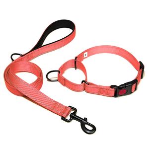Verstelbare Reflecterende Nylon Training Hondenhalsband Martingale Dubbele Ring Afsluitbare Hondenhalsband - Product Image 4