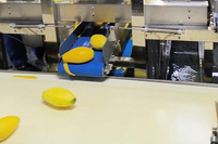 Automatische industriële mango-, ananas- en papajapelschilmachine / commerciële lijn voor het schillen en ontpitten van fruit, roestvrij staal