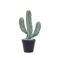 Cactus artificiel réaliste en plastique pour la décoration intérieure et extérieure, ornement de jardin, plantes artificielles