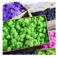 Gazon vert personnalisable pour décoration, mur de mousse préservée à l'intérieur, offre spéciale d'usine, plusieurs couleurs