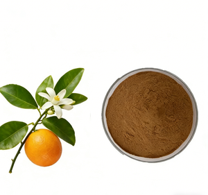 Экстракт горького апельсина 10:1, экстракт дикорастущих растений, пищевая добавка, оптовая продажа со склада - Product Image 1