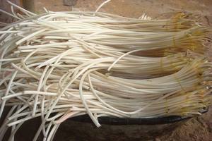 รากบัวที่ดีที่สุด/รากบัวสด - Product Image 5