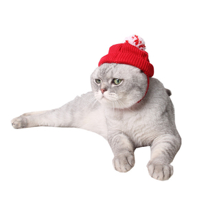 Direktverkauf vom Hersteller: Umweltfreundliche Rote Tiermuster-Wollmütze mit Ohrlöchern für Hunde, Katzen, Kätzchen und Welpen - Einheitsgröße Haustier-Bekleidung - Product Image 5