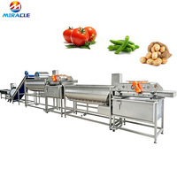 Ligne de lavage et de séchage de légumes et fruits en acier inoxydable pour tomates
