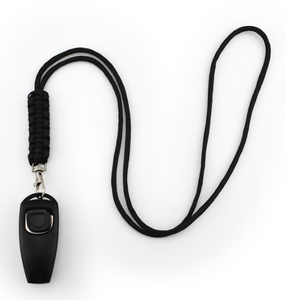 सस्ते सीटी प्लास्टिक पालतू प्रशिक्षण सीटी के साथ कलाई स्ट्रैप - Product Image 4