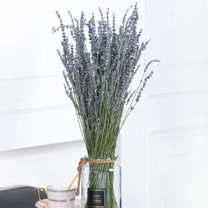 Arreglo de Flores Secas, Ramos de Flores Secas Naturales, Lavanda Seca Real para Decoración del Hogar, Ramos de Flores Secas - Product Image 1