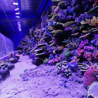 Decoración de Acuario con Arrecife de Coral Artificial Realista, Adorno de Planta Oceánica Artificial, Coral Simulado para Paisajismo de Peceras