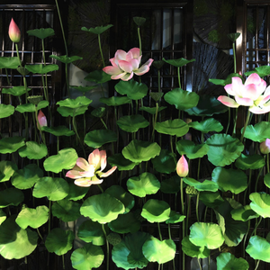 Collection de fleurs de lotus artificielles haut de gamme effet mouillé pour la décoration de bassins de jardin, les éléments aquatiques extérieurs et la décoration intérieure - Product Image 2
