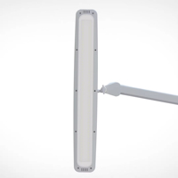 Lampe LED professionnelle pour la beauté, avec pince réglable, bras long, lumière de travail sans ombre pour salon de manucure, extension de cils et tatouage