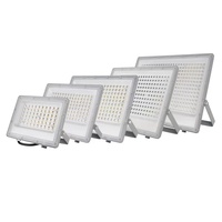 Meilleur Prix Dc12V 24V 220V 110V Étanche Ip66 Led Projecteur Lampe 100W 150W 200W 300W 2835 Puces Extérieure Led Projecteur