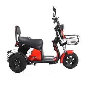 3 륜 전기 Trike 800w 큰 힘화물 전기 세발 자전거 자동차 전기 3 륜 자전거