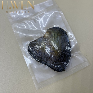 H.WEN ขายส่งไข่มุกน้ำจืดธรรมชาติขัดเงา 4A แบบกล่องสุ่ม ไข่มุกเม็ดเดี่ยวสำหรับงานฝีมือ DIY ทำเครื่องประดับแปลกใหม่ - Product Image 2