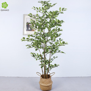 Árbol Bonsái Artificial de Ficus de 200 cm de Altura, Simulación Realista, Decoración para el Hogar, Decoración para Bodas - Product Image 5