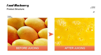 Purée de pulpe de jus de fruit mangue faisant l'équipement ligne de production usine de processeur de jus concentré