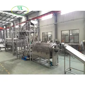 Hotsell Full Automatic Prune Raisin Washing And Drying Machine Plum Process Line Dried Mulberry Moisture Increasing Polishing