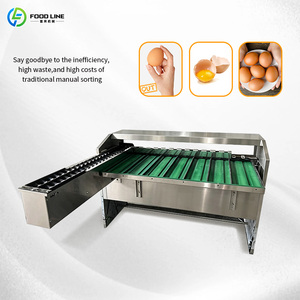 Meilleure machine automatique d'emballage de douzaines d'œufs de poule avec emballageur et trieuse - Product Image 4