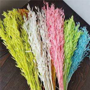 Arrangement <span class=keywords><strong>de</strong></span> fleurs <span class=keywords><strong>de</strong></span> paille d'avoine naturelles séchées et préservées, multicolores, <span class=keywords><strong>de</strong></span> haute qualité, pour la décoration <span class=keywords><strong>de</strong></span> mariage, <span class=keywords><strong>de</strong></span> la maison et des festivals - Product Image 2