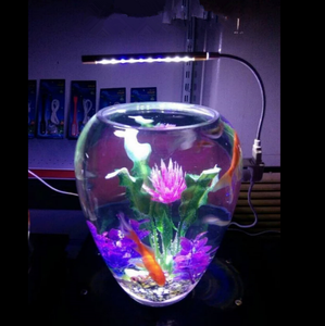 Mini Magical Design <strong>Aquarium</strong> Tank Fish <strong>Glass</strong> - Product Image 5