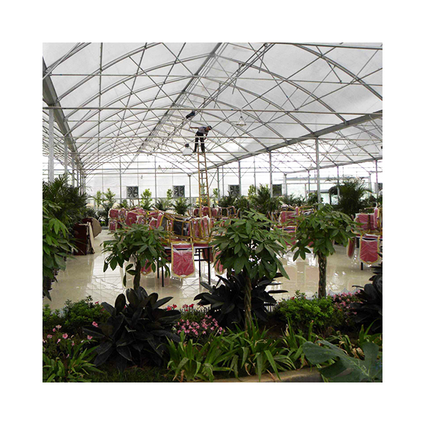 antique victorian greenhouse