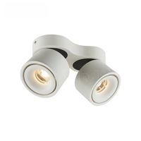 Spot encastré Hofoled pour plafond, montage en surface, rond, anti-éblouissement, grille, éclairage vers le bas, CE RoHS, pliable, LED réglable