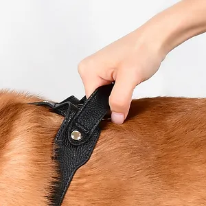 Loudik Wholesales在庫のあるパーソナライズされたメーカー小中大ペットカラーECOレザー高級犬用ハーネスとリーシュセット