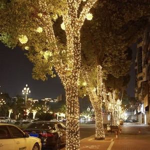 IP44 đánh giá ngoài trời LED giáng sinh chuỗi Lights cho trang trí đường phố S14 hệ thống treo chiếu sáng trên bán cho ngày lễ - Product Image 1