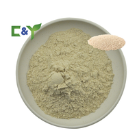 Meilleur prix Extrait de levure Enzyme Poudre composite Amélioration de la saveur Amélioration de la saveur des aliments Assaisonnements Poudre de levure