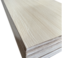 Panneau de contreplaqué stratifié HPL marin moderne de première qualité, 4x8, 12-18mm, en peuplier et bouleau, étanche, pour meubles