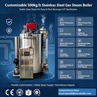 Chaudière à vapeur verticale SS304 500 kg/h stable pour stérilisation UHT (Ultra Haute Température) laitière et boissons à base de soja – Asie du Sud-Est