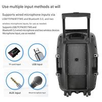 Enceinte portable 15 pouces avec woofer 80W, étanche IPX3, micro intégré, écran et batterie 3000-5000mAh pour l'extérieur