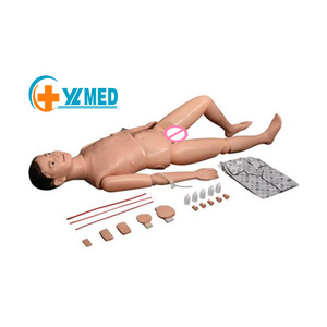 <span class=keywords><strong>Model</strong></span> manusia menyusui PVC multifungsi untuk pelatihan pelajar untuk pengajaran sains medis di sekolah rumah sakit berfokus pada <span class=keywords><strong>CPR</strong></span> - Product Image 1