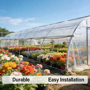 High Quality Polyethylene <b>Greenhouse</b> Film Heat Sunlight Proof No Melting Agricultural PE <b>Plastic</b> <b>Sheeting</b> - Product Image 1