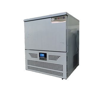 出厂价格商用速冻/冲击室冷却器，带5个平底锅 - Product Image 6