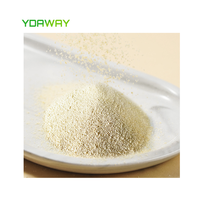 YDAWAY Alimentation animale : L-Lysine hydrochlorure 98% et Lysine sulfate 70% (acides aminés) pour bovins, porcs et volailles - Favorise la santé