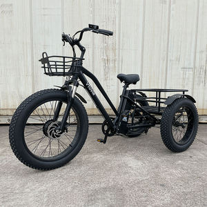 20 pollici Triciclo elettrico 750W motore grasso pneumatico 3 <span class=keywords><strong>ruote</strong></span> E <span class=keywords><strong>bici</strong></span> Triciclo <span class=keywords><strong>tre</strong></span> <span class=keywords><strong>ruote</strong></span> adulto Cargo <span class=keywords><strong>bici</strong></span> elettrica con cestino - Product Image 3