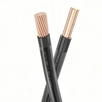 Cable THHN, Proveedor de Tamaños de Cable THHN en Filipinas, AWG 1AWG 2AWG 4AWG 6AWG 8AWG 10AWG 12AWG 14AWG, Cable Eléctrico de Cobre y Nailon THHN