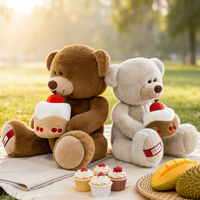 Oso de Peluche OEM, Logotipo Personalizado, Oso con Pastel, Ideal para Artículos Promocionales y Regalos Corporativos, Regalo de San Valentín
