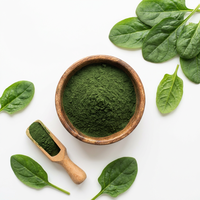 Poudre d'épinards de qualité supérieure - 100% pure et naturelle, superaliment vert pour les smoothies et les pâtes
