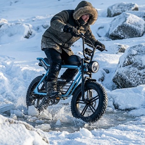 Vélo électrique tout-terrain résistant aux crevaisons avec batterie au lithium 16Ah, vélo électrique robuste pour l'exploration hivernale sur la neige - Product Image 1