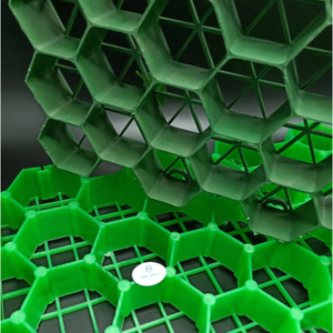 Nhiệm vụ nặng nề thấm nhựa lưới cỏ pavers cho đường lái xe mái Vườn đào Đất Xanh dự án - Product Image 4