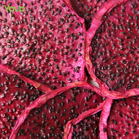 Nouvel arrivage de fruits du dragon rouges séchés à l'air naturel Pitaya rouge sec en tranches de thé aux fruits secs comestibles
