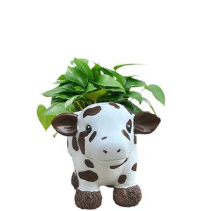 Figurine de pot de fleurs succulentes en résine époxy écologique en forme de vache pour la décoration intérieure et extérieure du jardin et de la cour, créativité - Product Image 5
