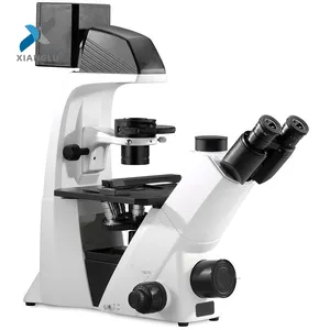 XIANGLU fluorescenza invertita microscopio digitale biologico OEM ODM servizio microscopio per laboratorio