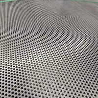 Fourniture du fabricant Filet de poinçonnage à trous hexagonaux Grille de haut-parleur en treillis métallique perforé