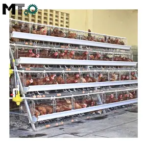 Équipement d'aviculture adapté à la cage de couche de poulet de petites fermes