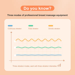 Mejor multifunción pequeño USB carga caliente calefacción 9th engranaje vibrador Popular 2-en-1 impermeable pecho lactancia masajeador - Product Image 3