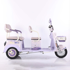 EEC điện ba bánh 1000W mở cơ giới Tuk xe với 48V điện áp 300kg tải trọng Công suất hành khách và hàng hóa tiện ích trimoto - Product Image 2